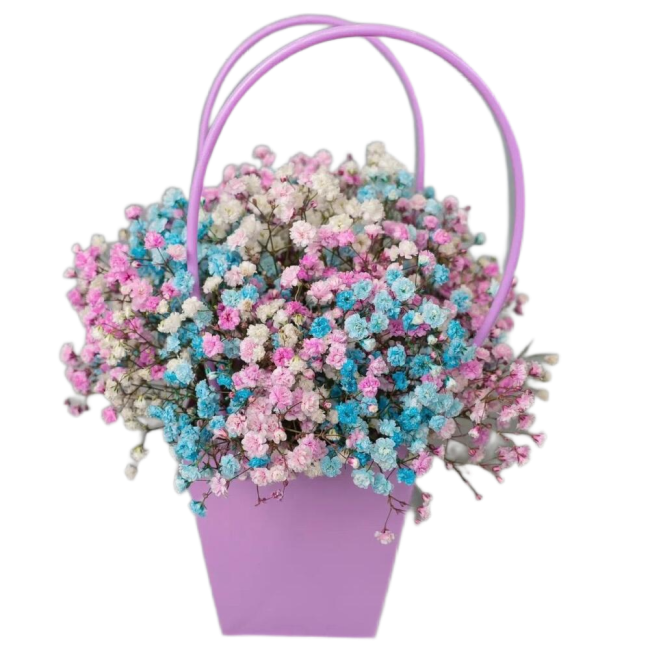 Букет цветов "Сумочка с разноцветной гипсофилой" Букет цветов "Сумочка с разноцветной гипсофилой"